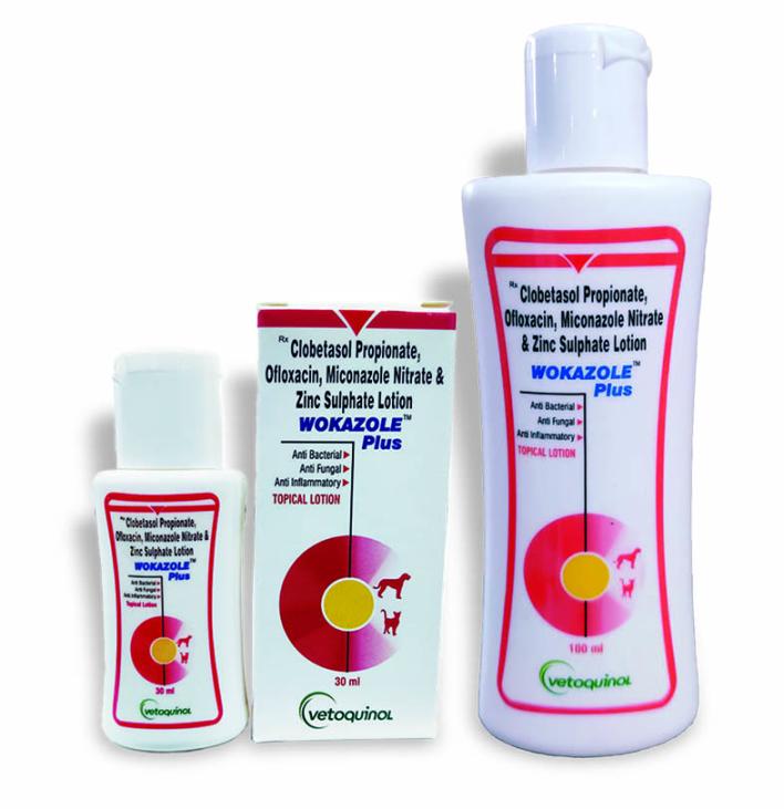 Miconazole lotion outlet for dogs